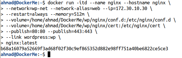 docker run nginx container 