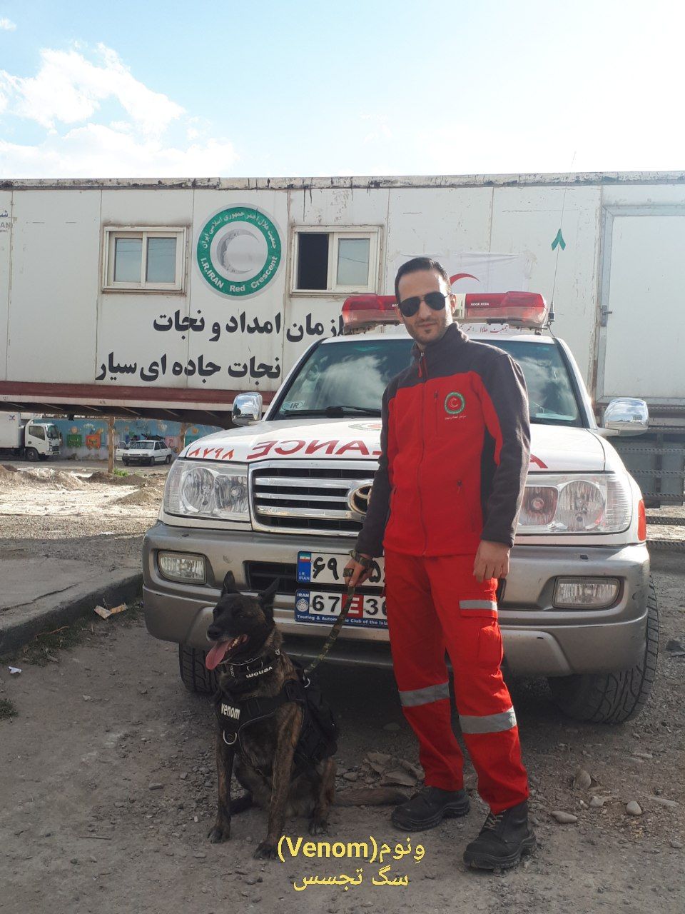 ونوم سگ تجسس