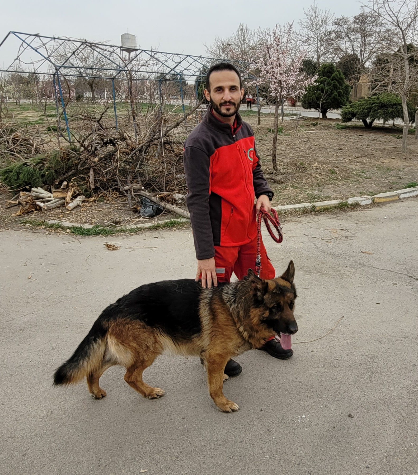 کارن سگ زنده یاب