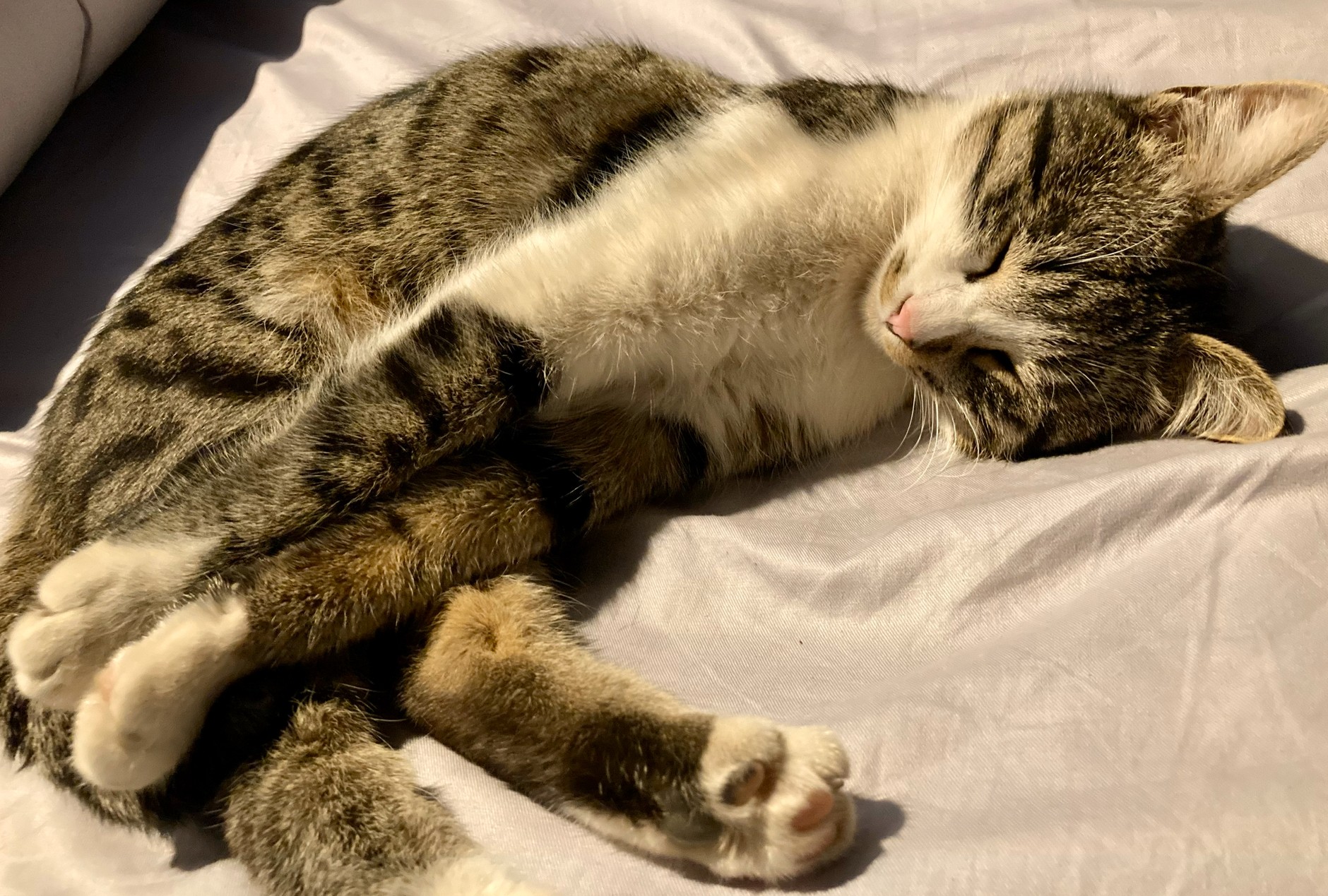 عکس نیست برا من فیلمه..