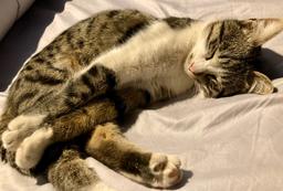 عکس نیست برا من فیلمه..