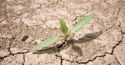 با ایران چه کنیم!