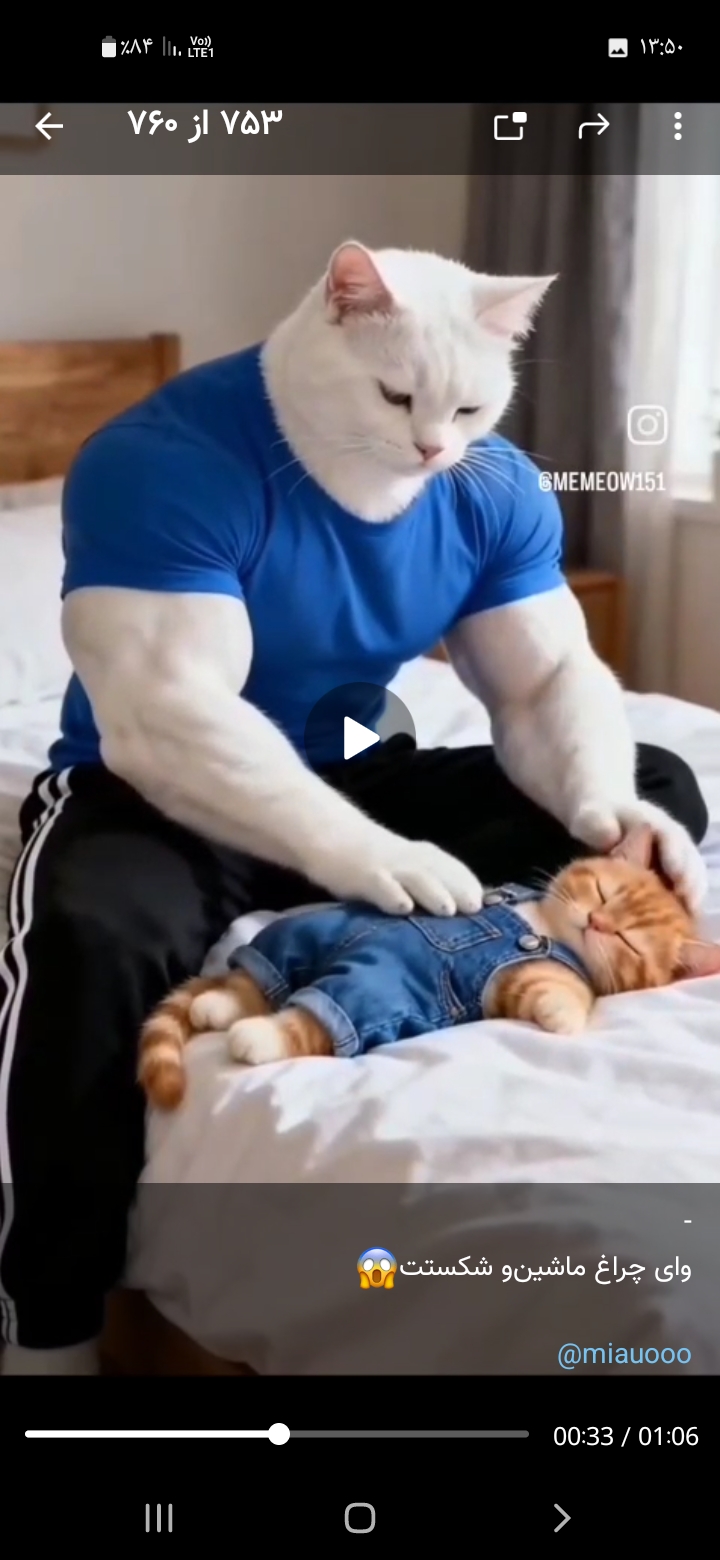 گربه‌ها مانند ما خرابکاری به بار میارن مانند همین  تصویر که نوشته شده شکستن چراغ ماشین یک نکته مهم که در این تصویر بالا دیده می‌شود حیوانات هم مانند ما پدر یا مادر یا خانواده دارند حالا توی تصویر بالا یه نکته دیگه‌ای که هست لباس پوشیدن بله واقعیت دارد وقتی ما حیوانی رو می‌خریم بالاخره لباس‌های مخصوص تن آنها می‌کنیم