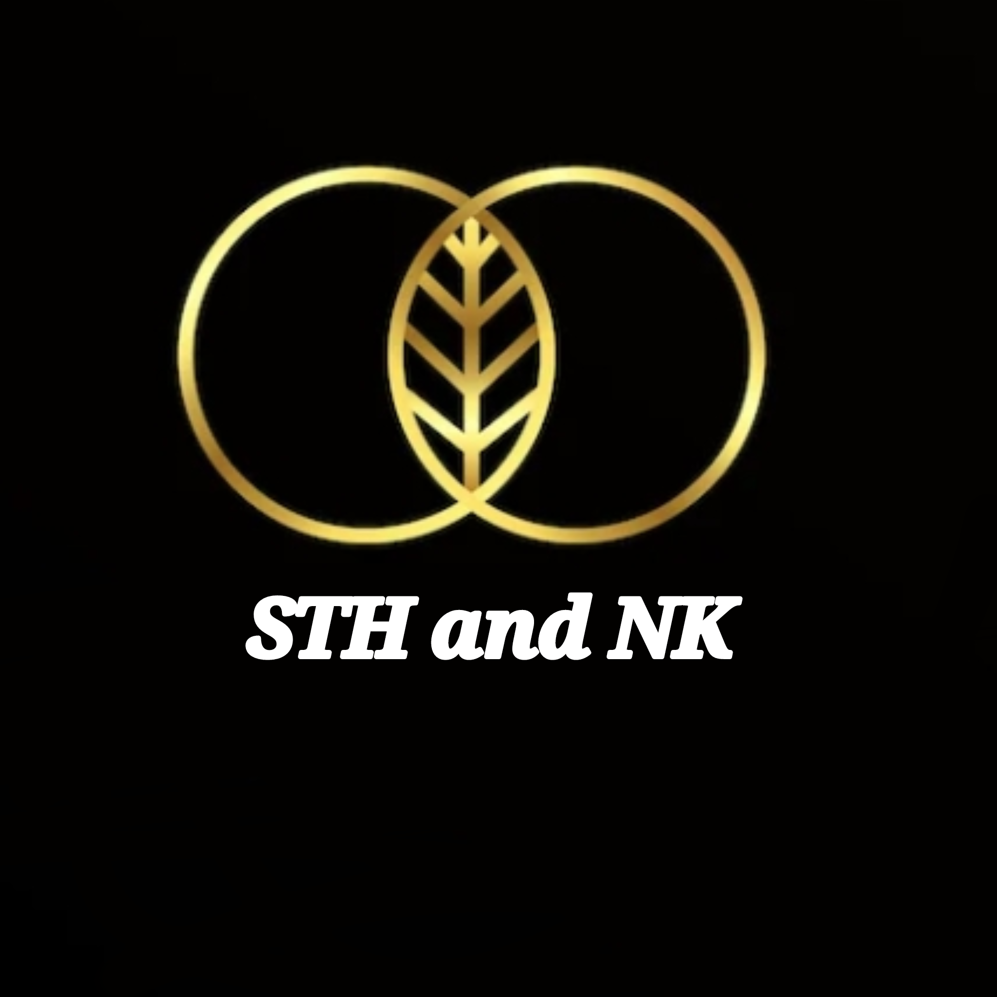 #همکاری_کمپانی_های_بزرگه_روبیکا_مجازی_ایدل کمپانی اس تی اچ و کمپانی ان کی