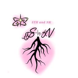 آیا کمپانی اس تی اچ با کمپانی ای همکاری کرده؟ همکاری کمپانی ان کی و کمپانی اس تی اچ