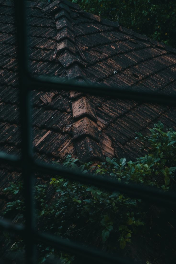 روزگاری آرام..