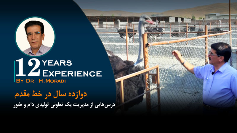 دوازده سال در خط مقدم: