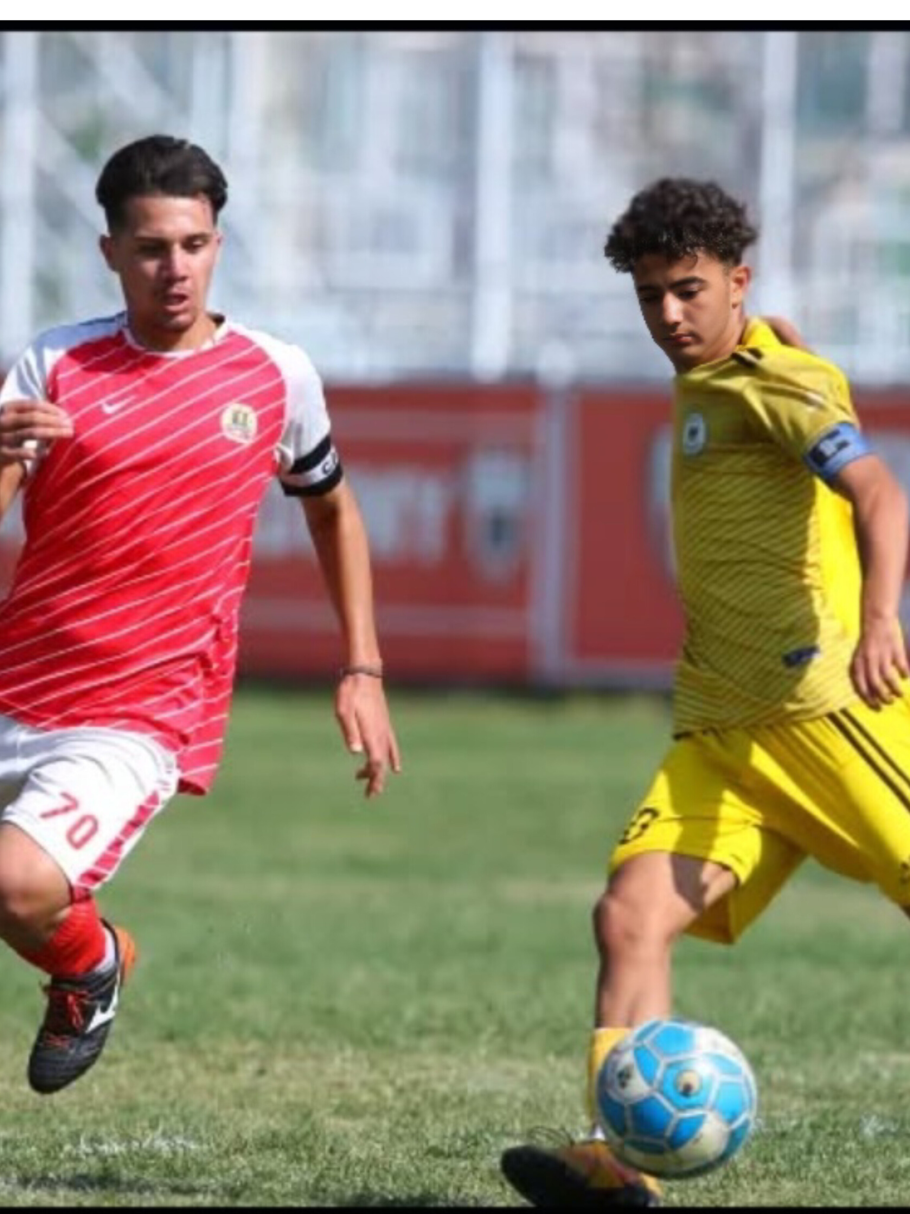 علی حیدری بازیکن شاهین