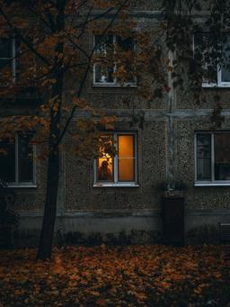 پنجره ای رو به فضولی