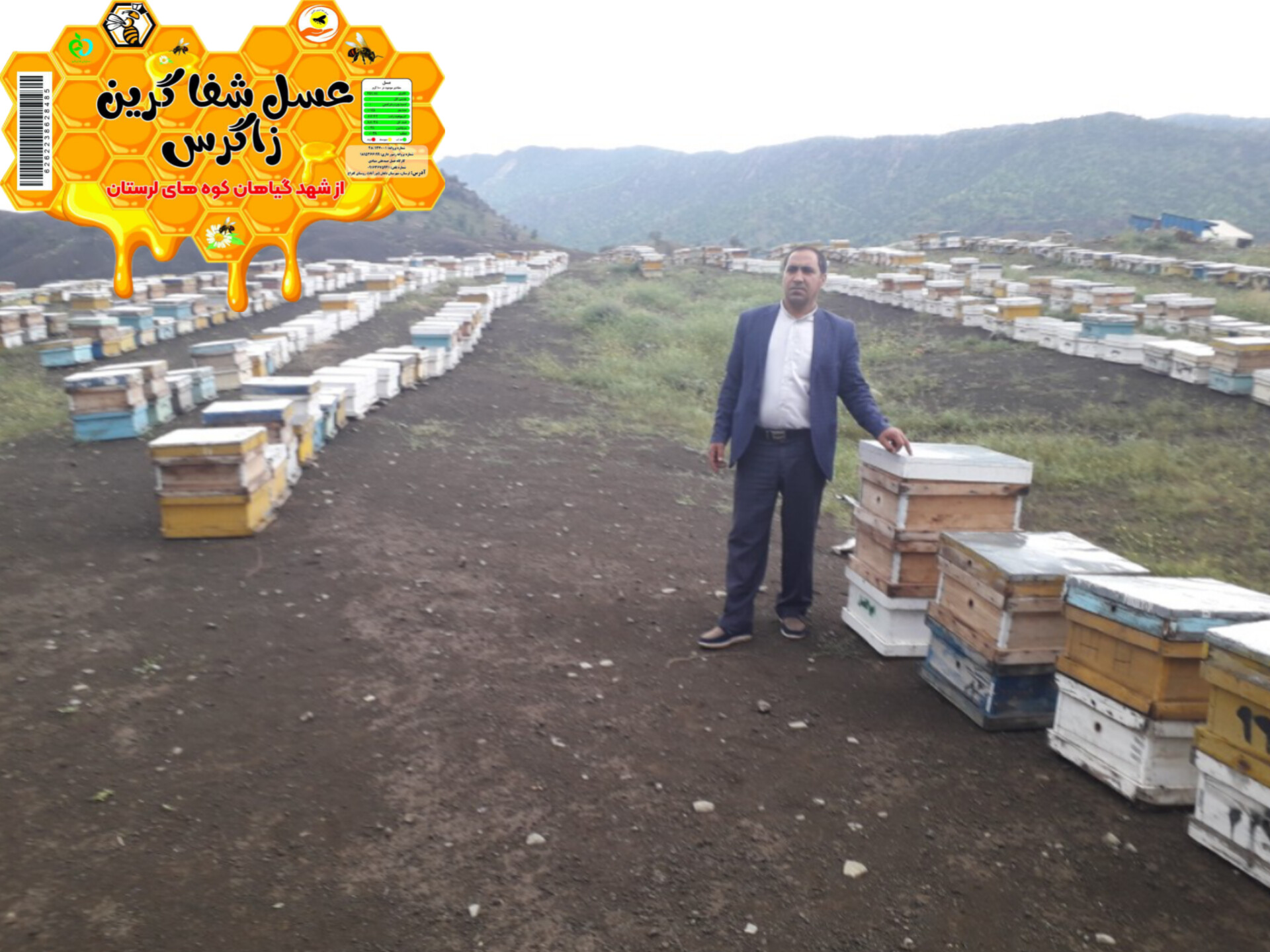 عسل شفا گرین زاگرس در تلاش است که محصولات خود را بهتر ارائه بدهد و برای اعتماد بیشتر شما قابل ذکر است که برنده عسل شفا گرین زاگرس دارای تعیده سازمان غذا و دارو و با ضمانت آزمایشگاه سراسر کشور محصولات خود را ارائه می‌دهد برای اطلاعات بیشتر و ثبت سفارش با شماره تماس 09163675941تماس بگیرید