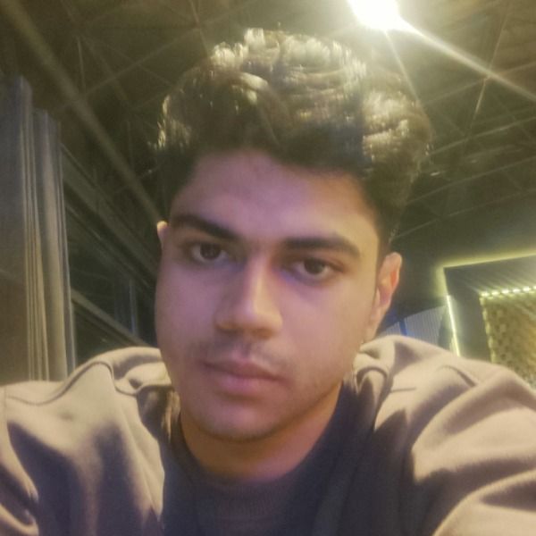 سجاد تیموری