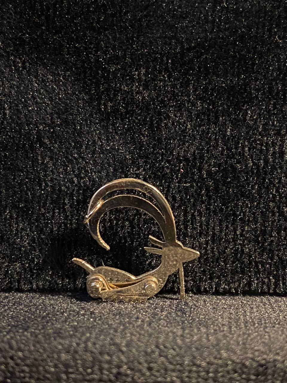 بز شهر سوخته حرکتی ژاپه