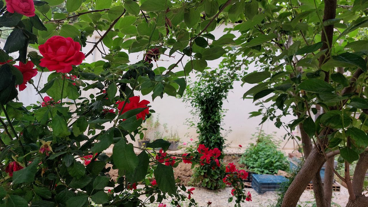 گل‌هایت را به شبم بیاور