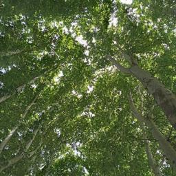 ادامه داره!