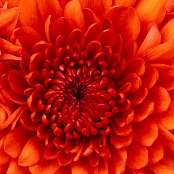 خدیجه خنده رو