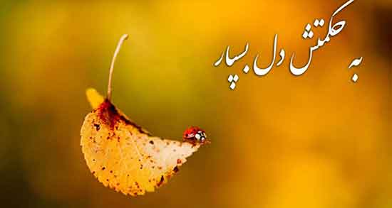 فقط خدا می‌دونه