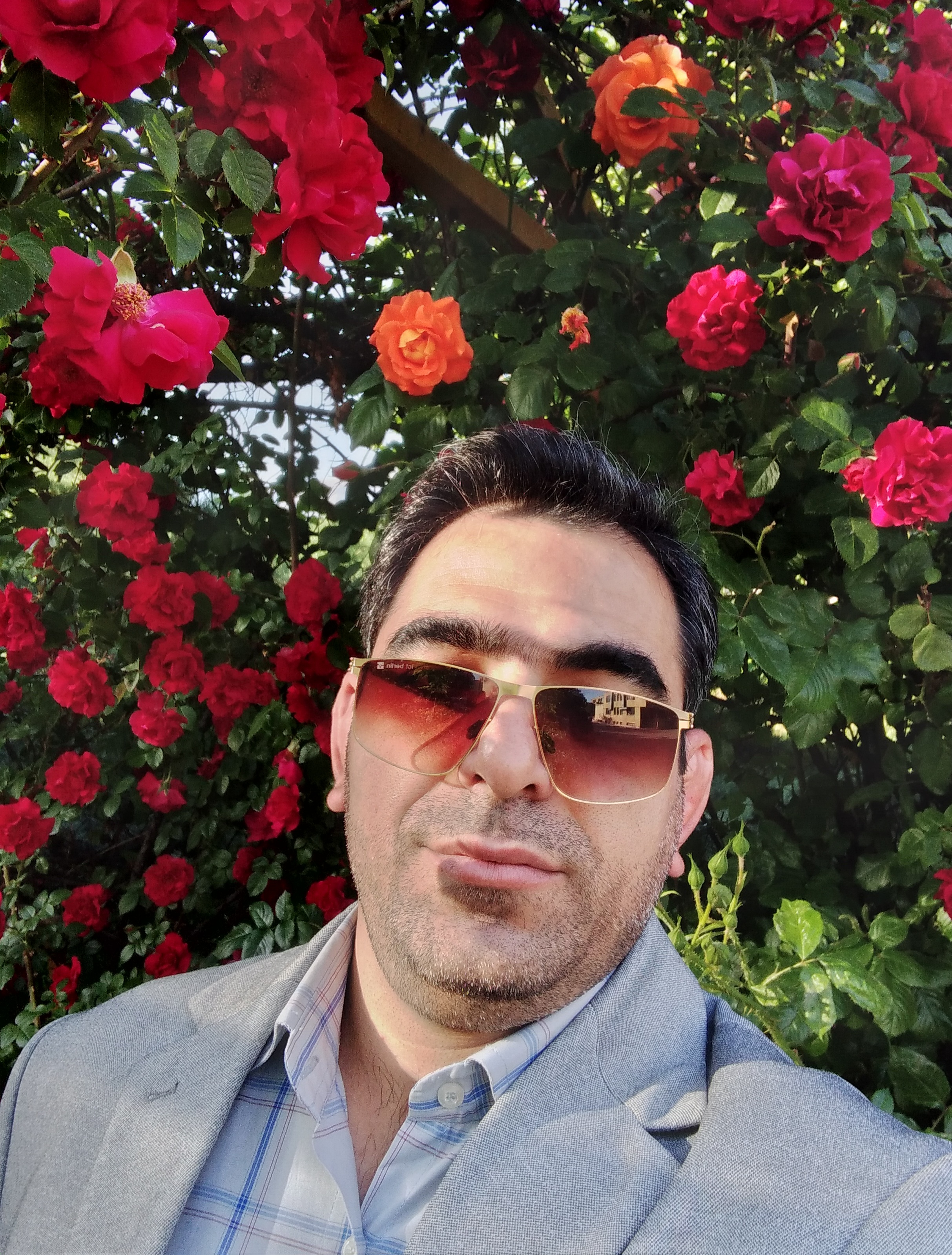 دکترمحمدرضازارعلی متخصص فیزیولوژی ورزشی قلب و عروق و تنفس