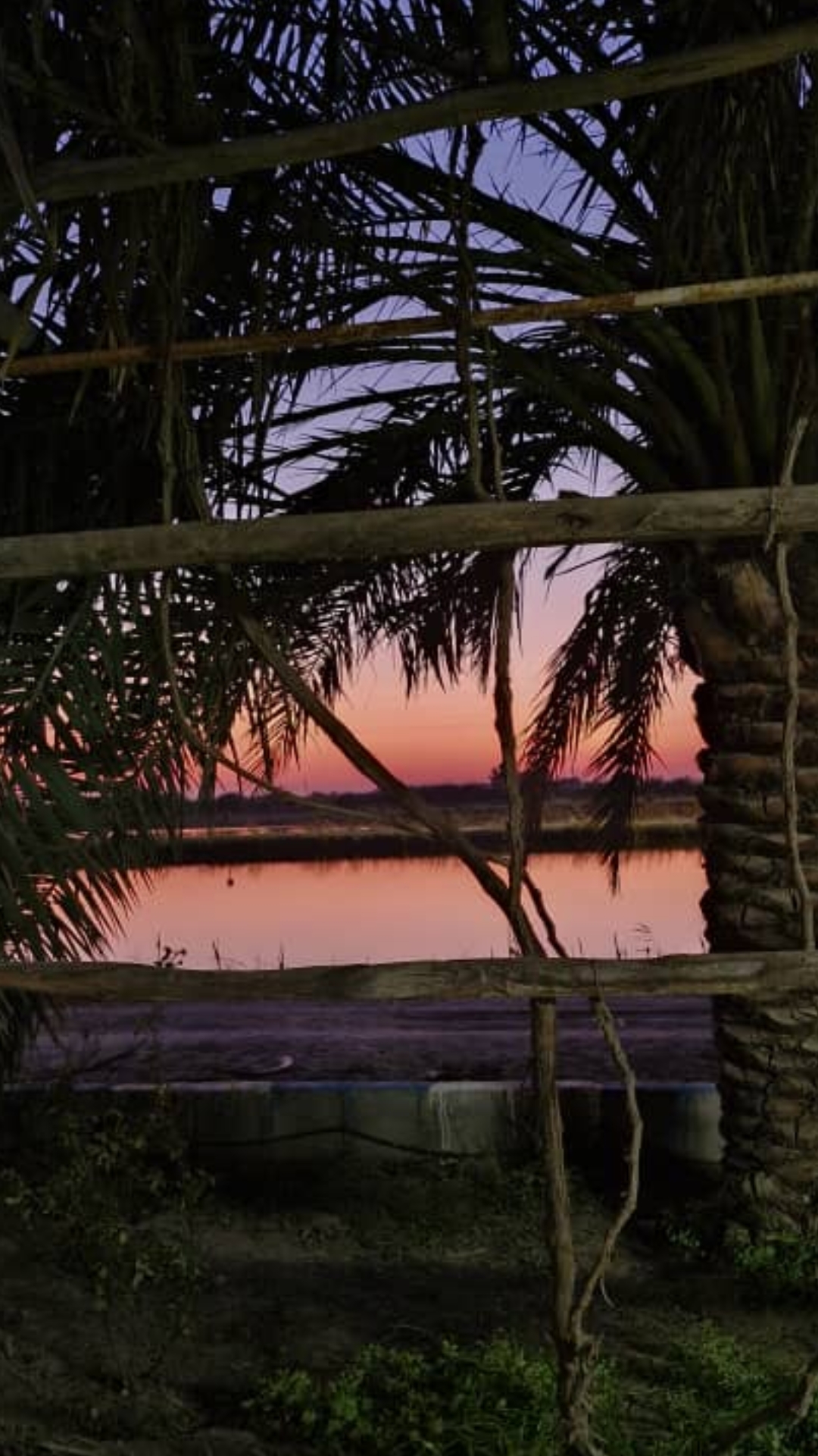 من دلم تنگه ...