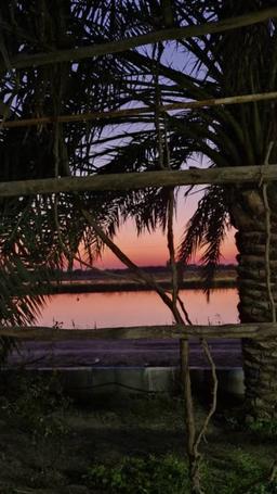 من دلم تنگه ...