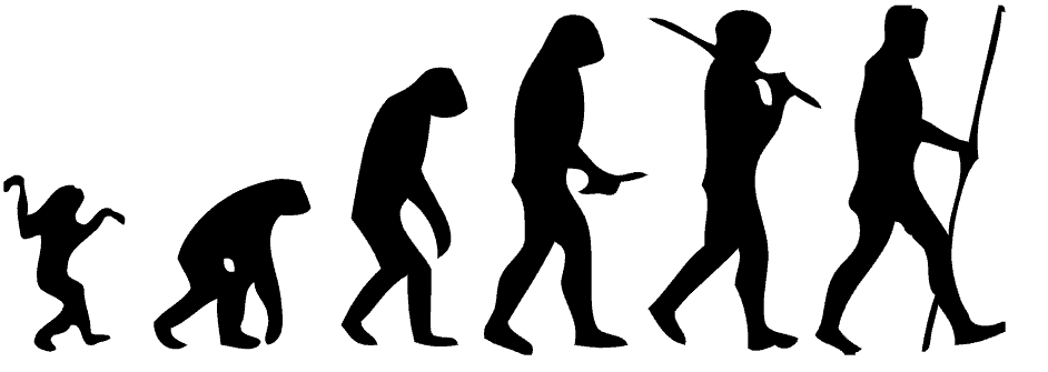 Theory of evolution