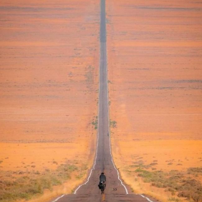 امیر محمد جعفری