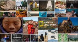 بهترین عکس های 2019 نشنال جئوگرافیک