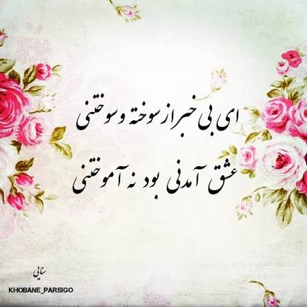 عشق آمدنی بود نه آموختنی