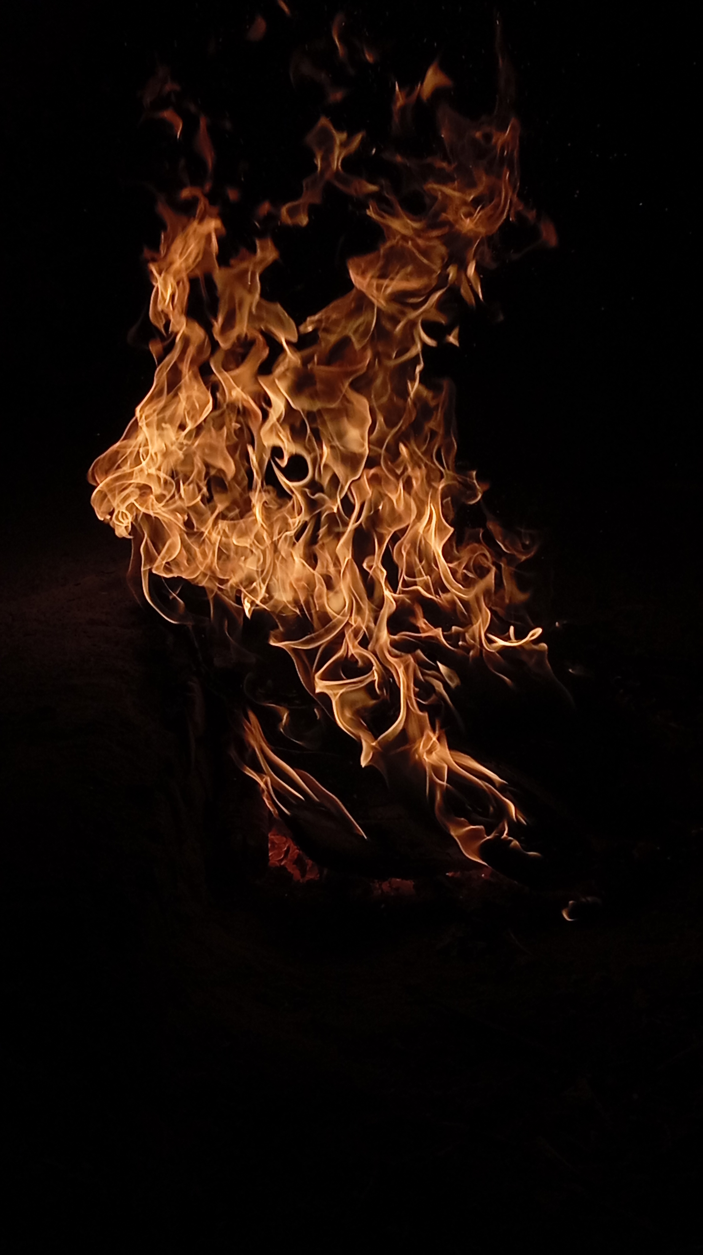 رضایی |خانم رضایی|آقای رضایی|فامیلی رضایی یکی از اجداد قدیمی ایران و افغانستان هست که سالیانه ساله در بین مردم رواج پیدا کرده و استفاده میشه و هر روزه داره بیشترین طرفدار رو پیدا می‌کنه و همچنان درحال توسیه هست خانم رضایی آقای رضایی