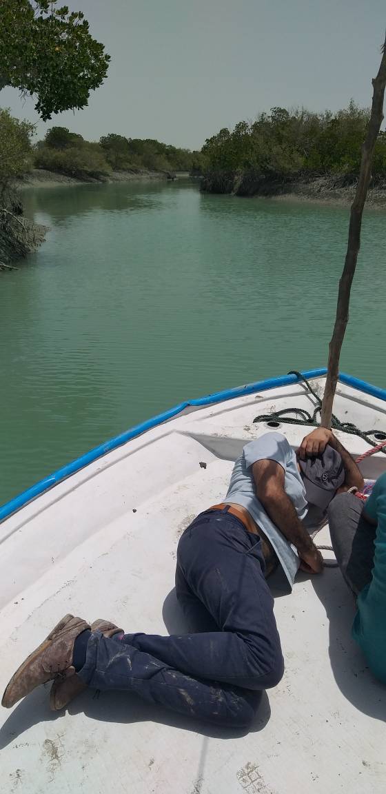 خور آذینی سیریک