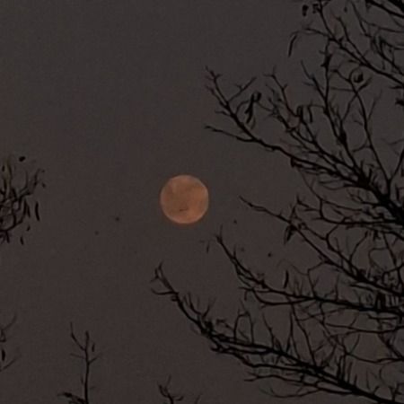 یک کاربر قدیمی