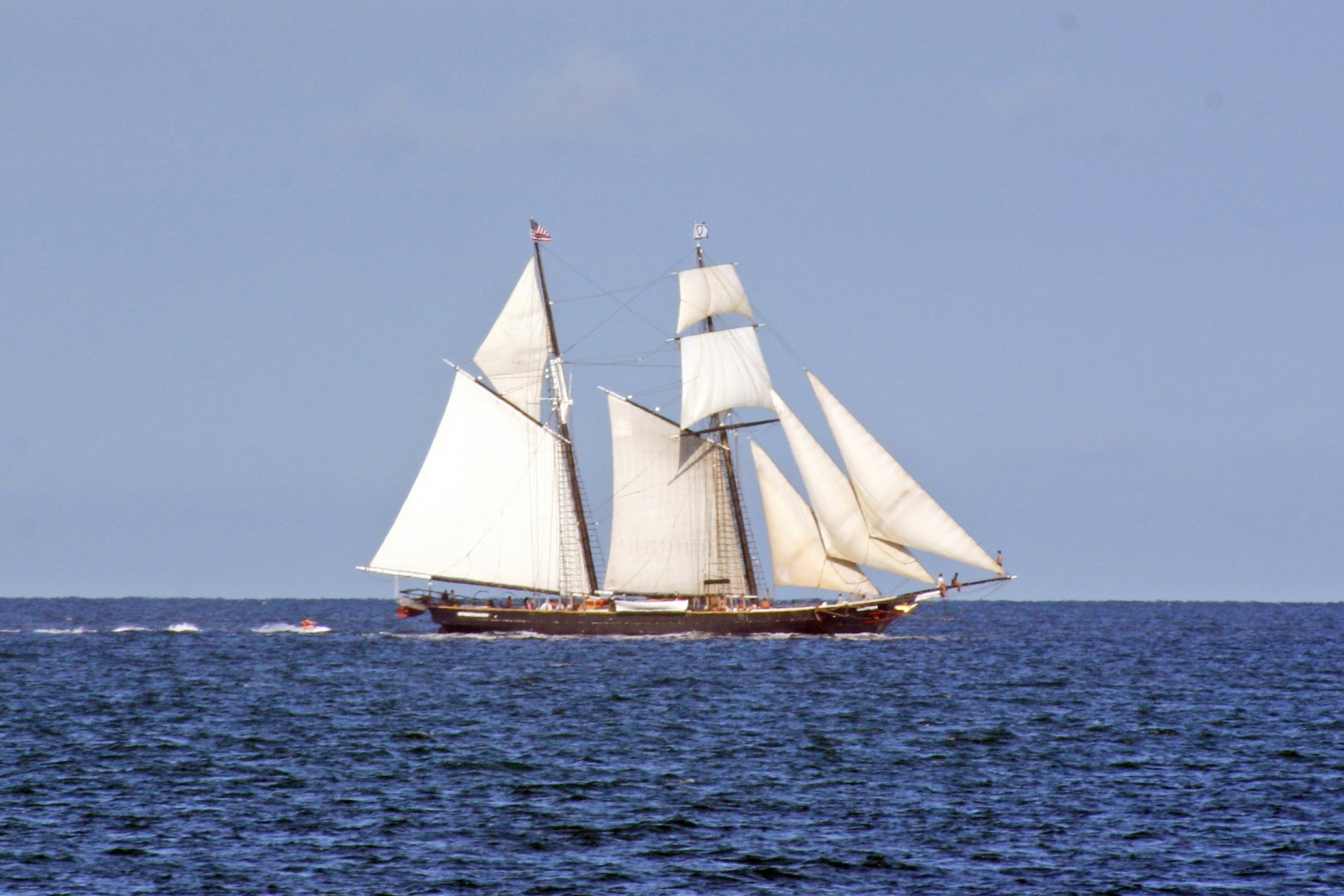 عکس از Ilse Orsel