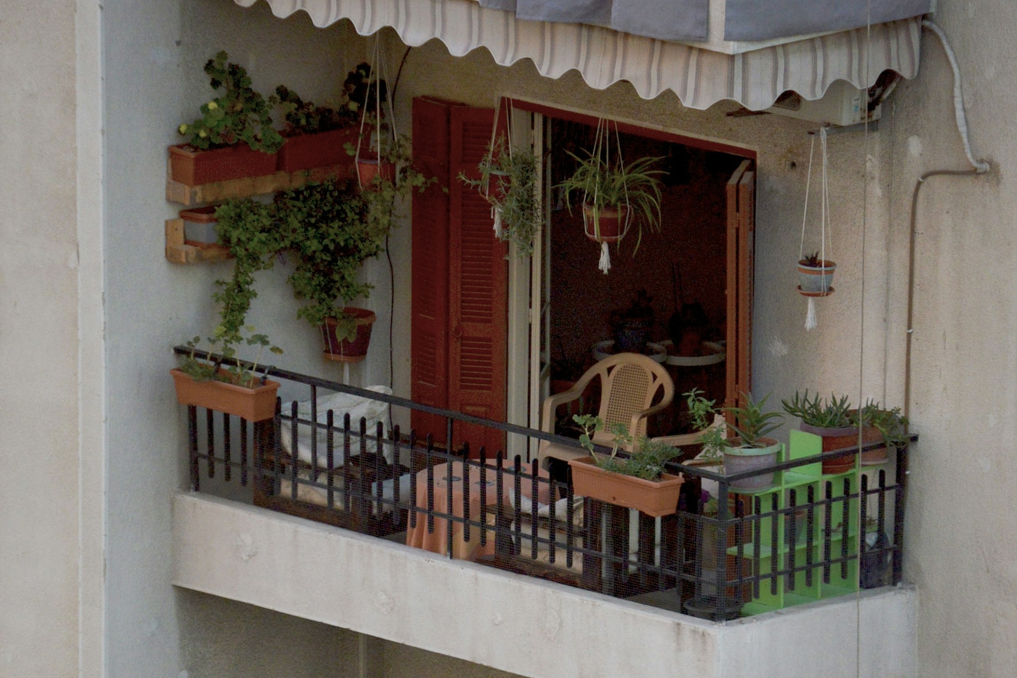 عکس از Cheristelle Hayek