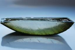 کاش ما هم اینقدر بُرِش داشتیم