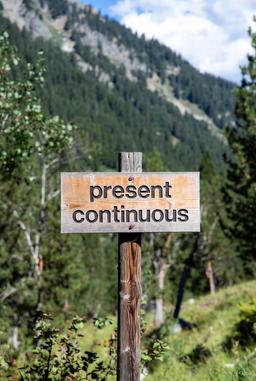 حال ساده:Present Continuou/Progressive