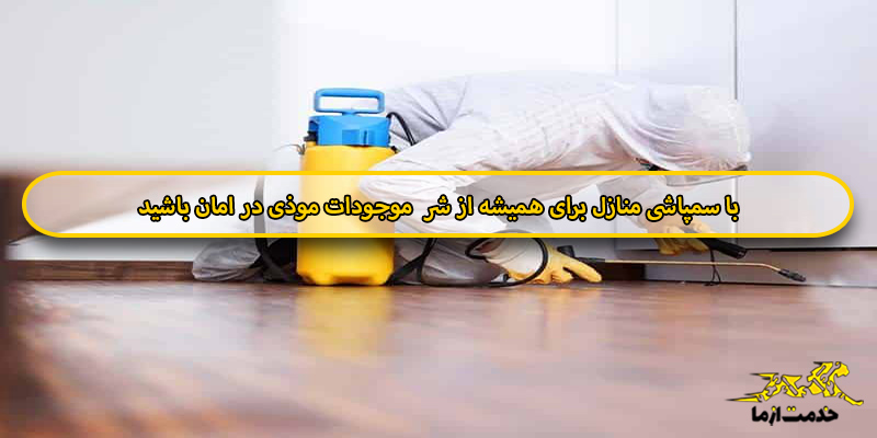سمپاشی و سمپاشی منازل