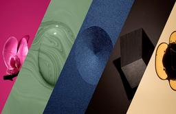 رنگ های ترند سال 2023