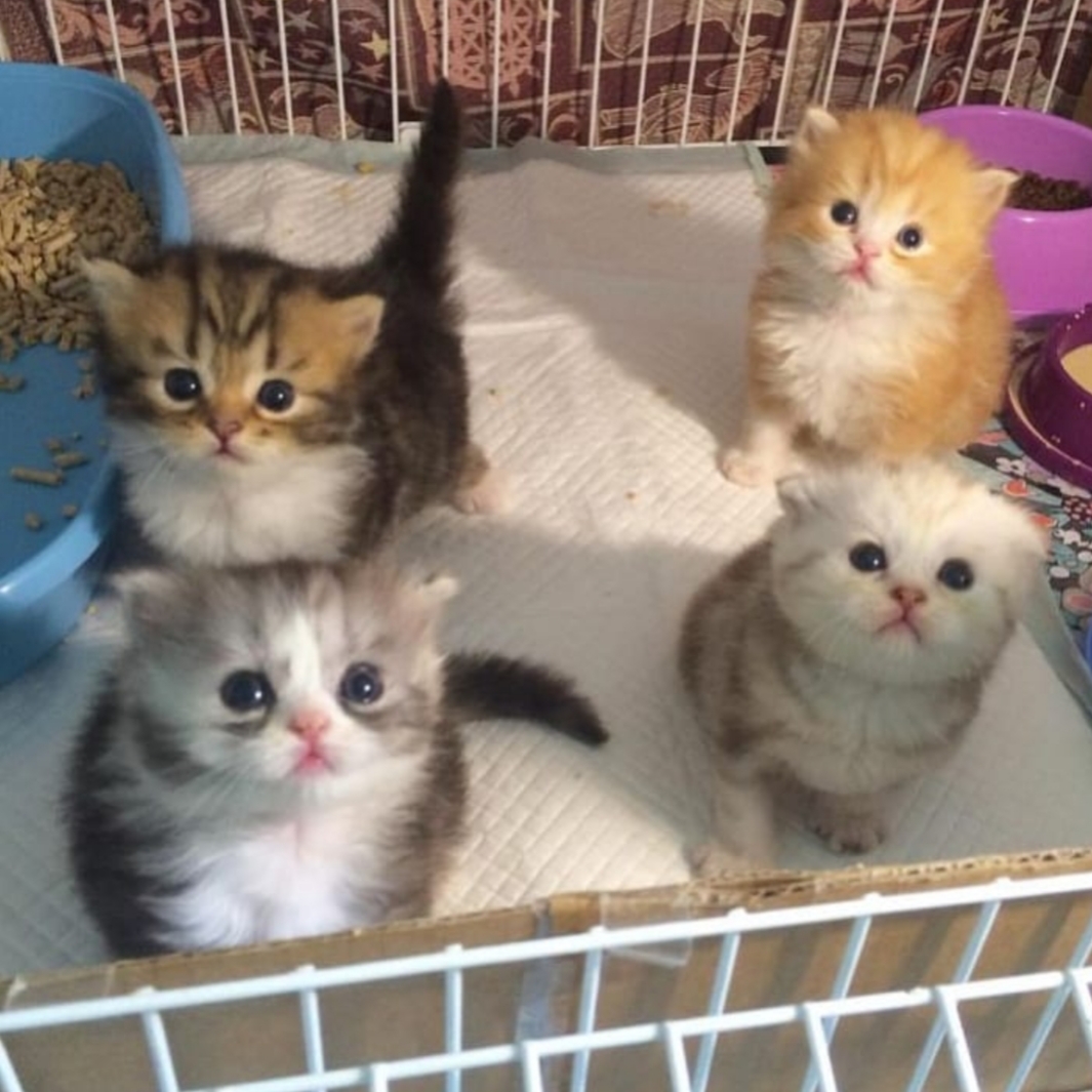 چهره ما پس از عبورِ هواپیما از بالای خانه!