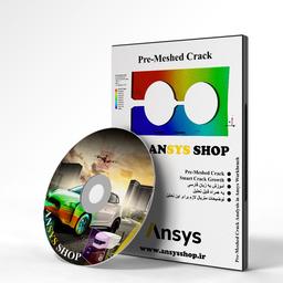 ترک Pre-meshed Crack در انسیس ورکبنچ