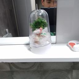 هنرمندی فوقالعاده، یک پسربچه