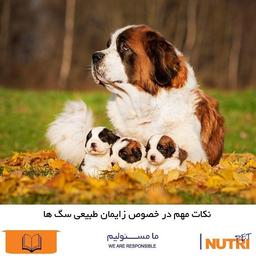 نکات مهم در خصوص زایمان طبیعی سگها