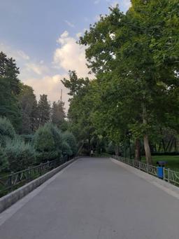 چطوری زبان انگلیسی شد جز جدایی ناپذیر زندگیم