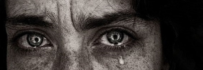 گریهٔ قلب