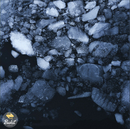 حلقه ی مدفون