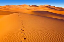 با تو نمی دوم اگر...