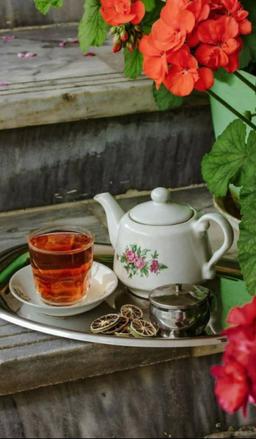 حیاطی که همیشه بهار بود