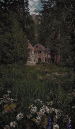 پارت ۴ – عبور از سایه‌ها