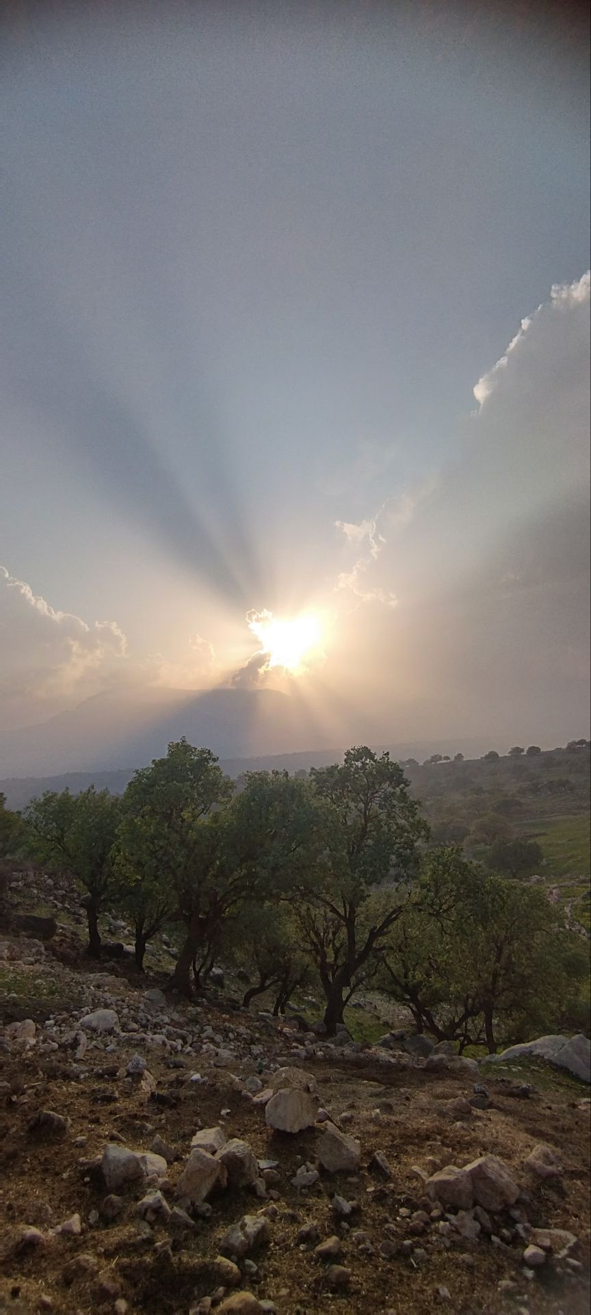 و من آفتاب را از دست‌های تو می‌گیرم. .