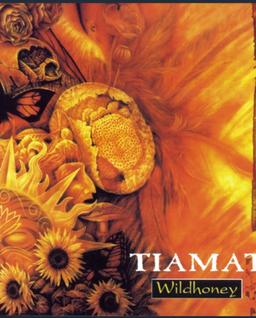 آیا رویای مرا میبینی؟