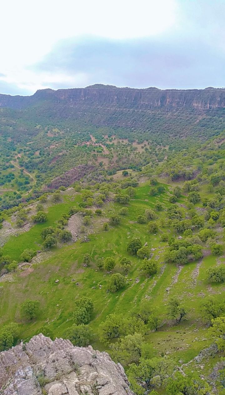 بیدانجیر دشمن زیاری طبیعت زیبای بیدانجیر هادی روزخون