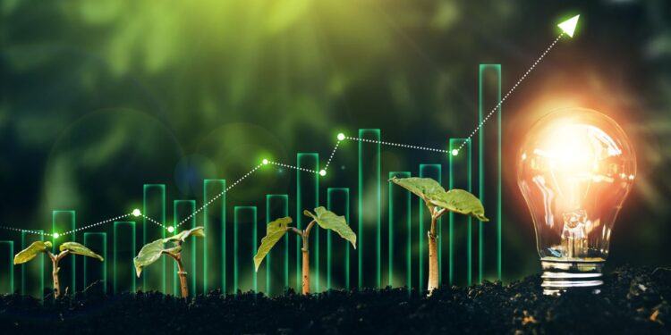 تاثیر کود دی آمونیوم فسفات مایع